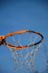 开云网页-NBA球员体能训练计划设计与效果评估，nba球员的体能训练
