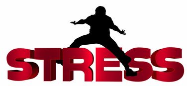 开云体育在线入口-NBA球员心理压力识别及干预技术研究，nba球员性格问题